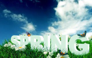 Spring Cleaning for Your Furniture