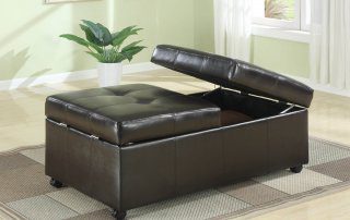 Top 5 Furniture/Accessory Pieces Becoming Extinct!