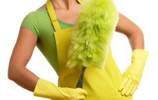 Spring Cleaning Debunked