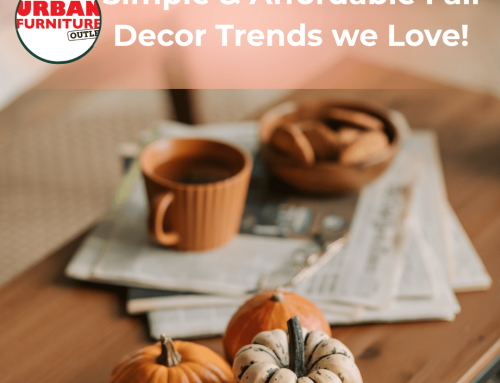 Simple and Affordable Fall Decor Trends for Home